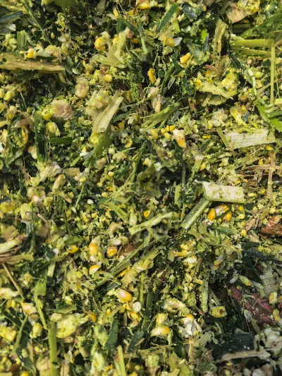 Quali punti di forza principali rendono Yiman Agriculture il tuo fornitore ideale per progetti di importazione di cavoli sottaceto?