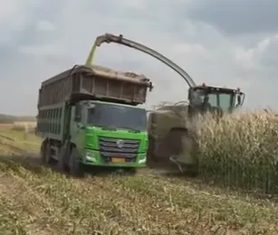 Come ottimizzare le idee sull'insilato di mais per aumentare la qualità dei mangimi per il bestiame e il profitto dell'azienda agricola?