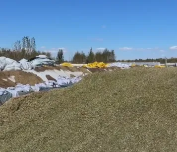 Come costruire una fossa di insilato durevole per lo stoccaggio del foraggio agricolo in grandi allevamenti di bestiame?