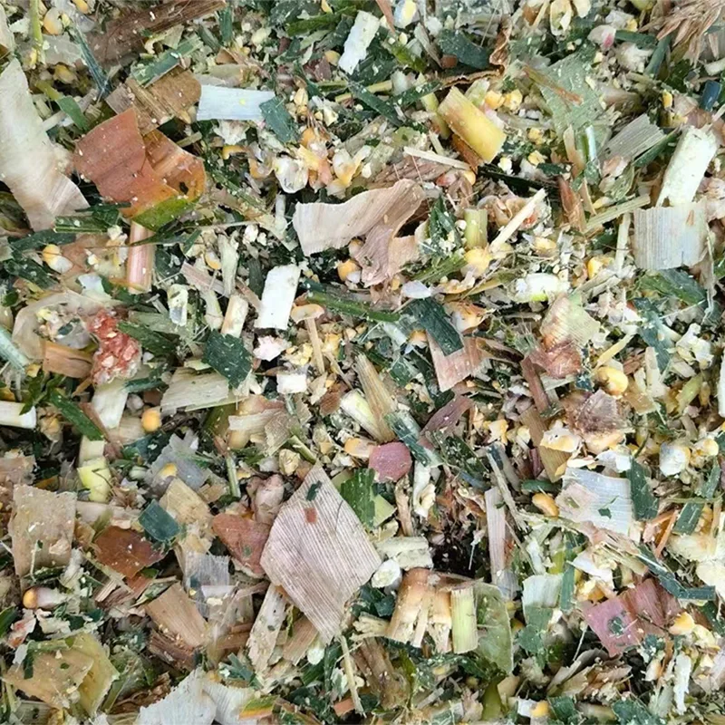 Foraggio misto insilato di mais