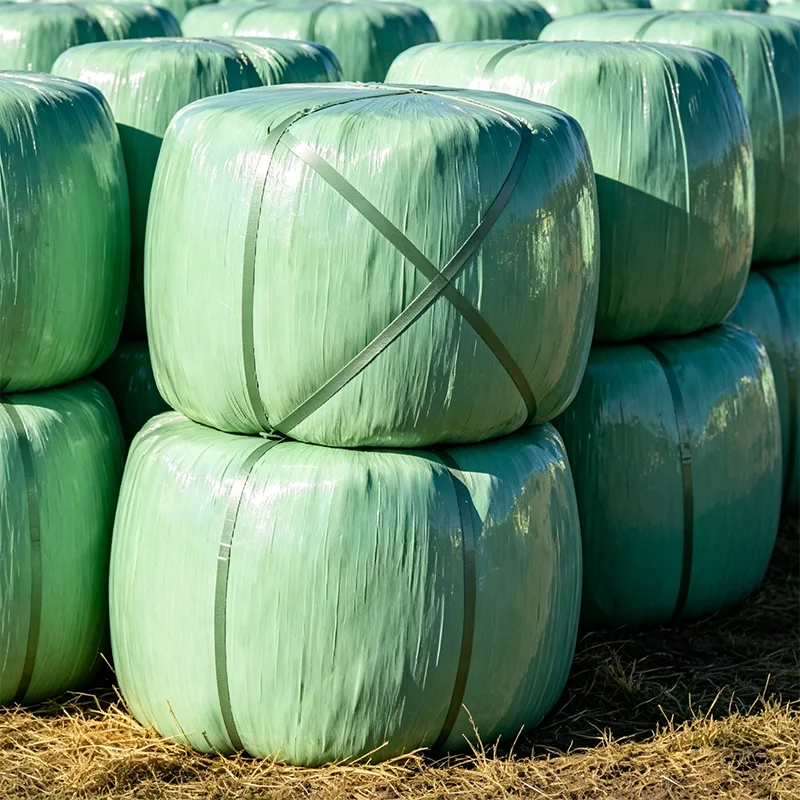 Insilato di mais imballato con protezione UV